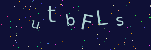Validation image