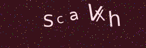 Validation image